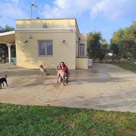 מורו לצ'זה Villa Mios מראה חיצוני תמונה