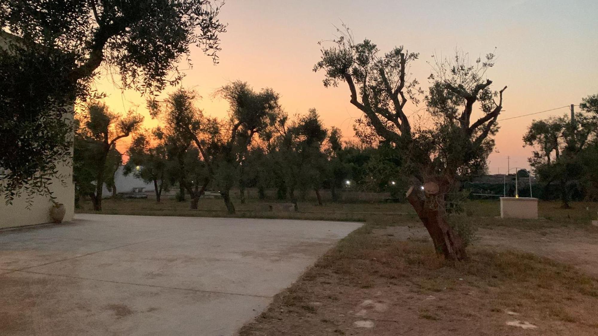 מורו לצ'זה Villa Mios מראה חיצוני תמונה
