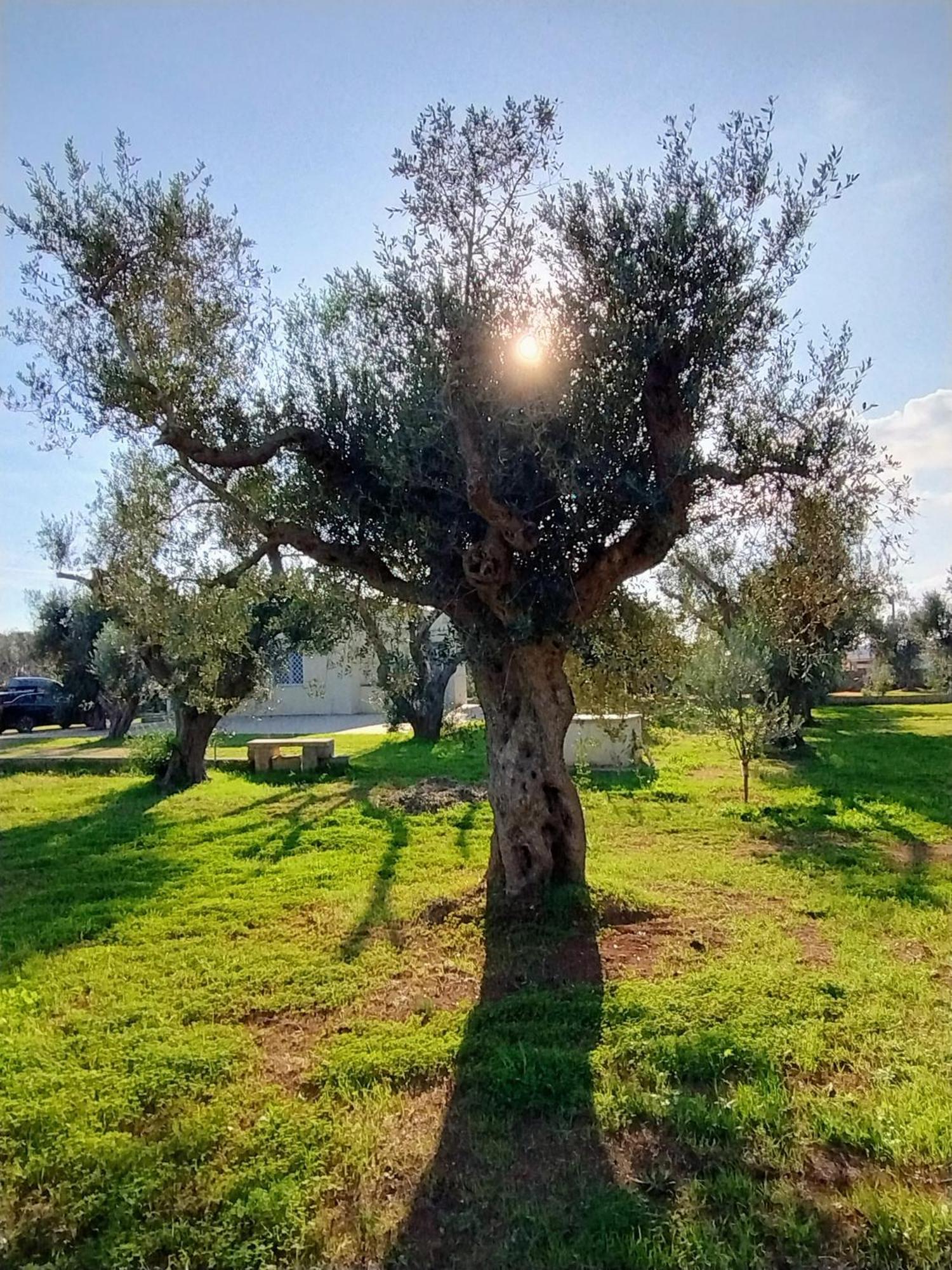 מורו לצ'זה Villa Mios מראה חיצוני תמונה