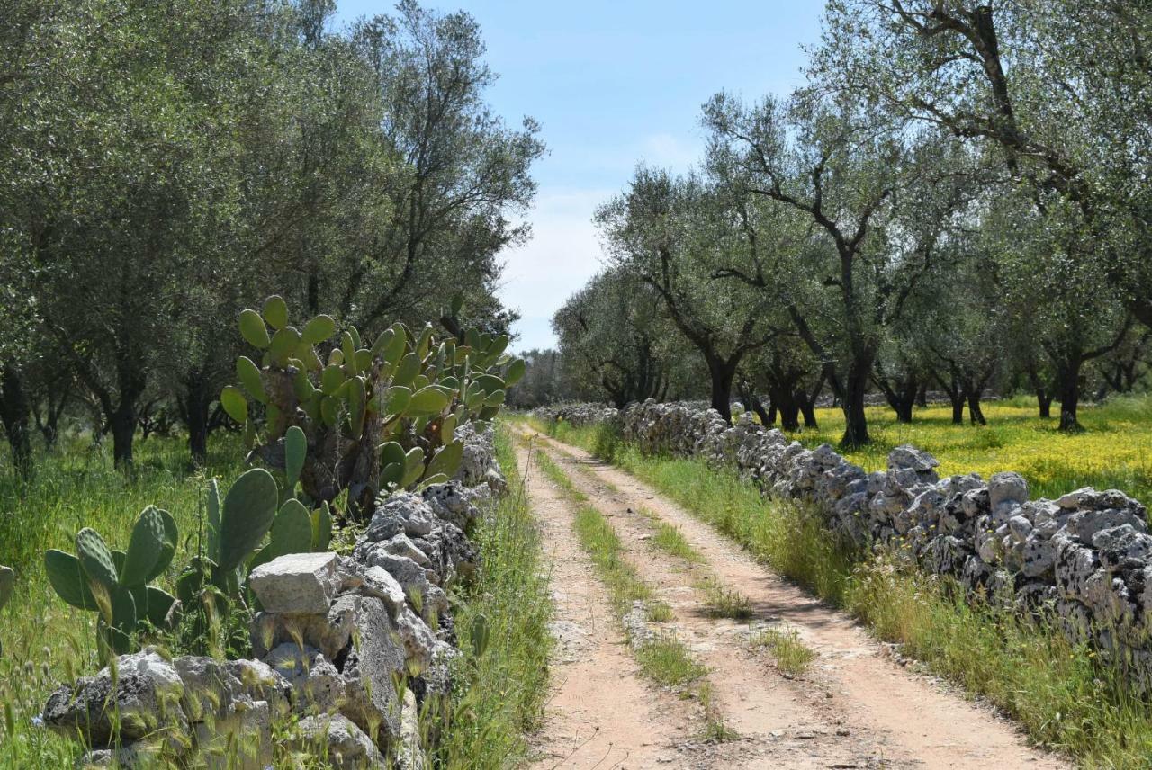 מורו לצ'זה Villa Mios מראה חיצוני תמונה